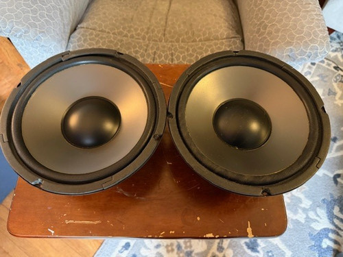 Polymer cone fostex - polymer,