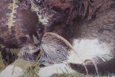 Original Coloured Pencil & Ballpoint pen, 'Cat Study', Unknown Artist, 1980's