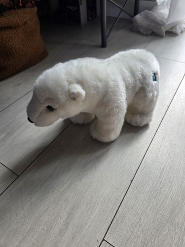 Bbc blue planet polar bear - bbc,