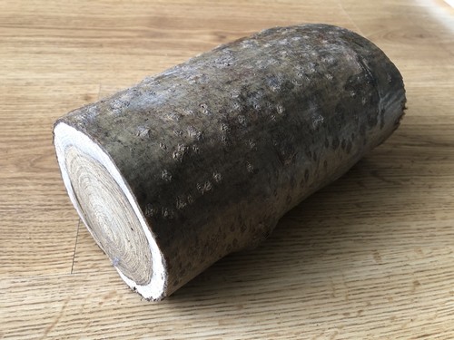 Laburnum wood turning - laburnum, log