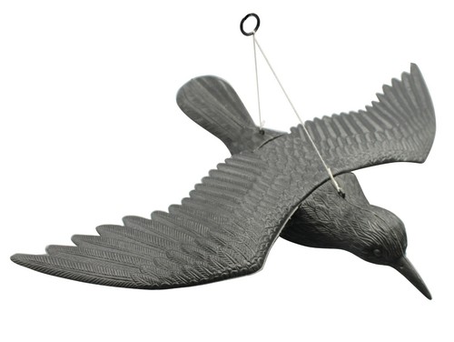 Bird repellent black raven - repellent,