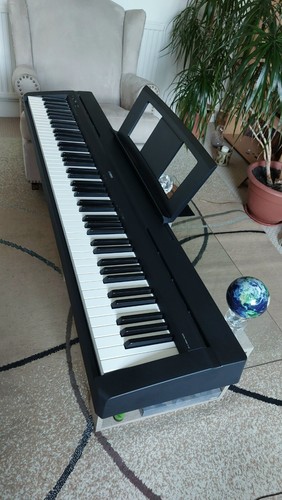 Yamaha p45b weighted action - p45b,