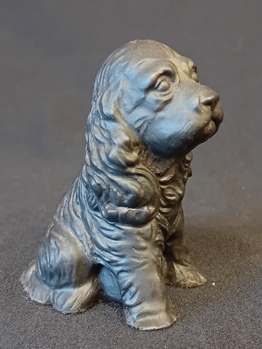 British coal cocker spaniel - cocker, spaniel'