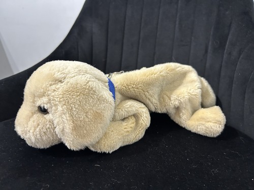 Andrex puppy pencil case - pencil,
