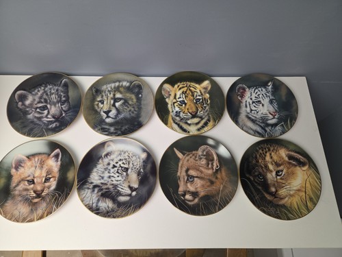 Set cubs the - the, cats
