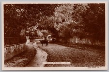 HACKNESS The Bridge, Cow on the Road, RP Postcard Unused, Queen Series