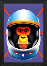 space monkey 1 Framed Wall Art