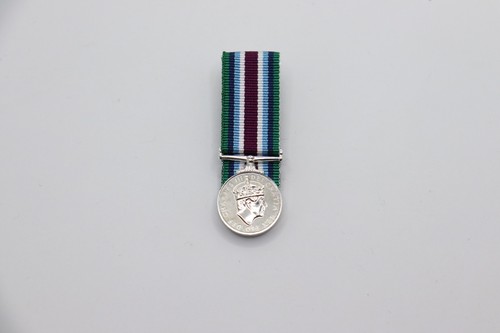 Wider service medal court - medal,