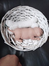 Solid Silicone Reborn Puppy