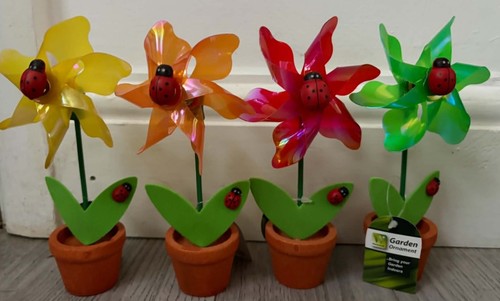 Box ladybird mini - of, 12