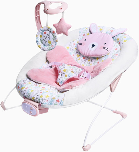 Baby bouncer for birth - to, 6