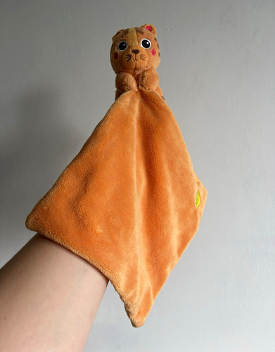 Wilko orange cat - , tiger
