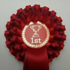   Award Rosettes Individual