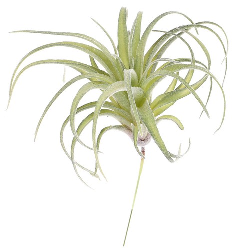 Artificial flower home - artificial, decor