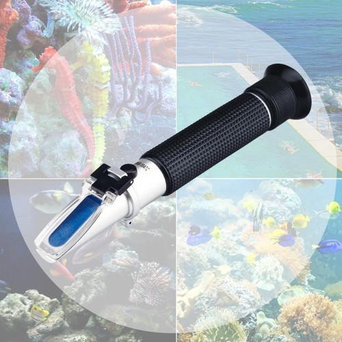 Fish tank aquarium - tank,