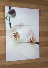 Beautiful Orchid Print Canvas