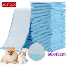 100 Large Puppy Training