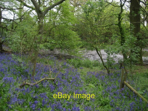 Photo 6x4 lomer pond beauworth - photo,