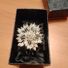 Beautiful in Box Erickson