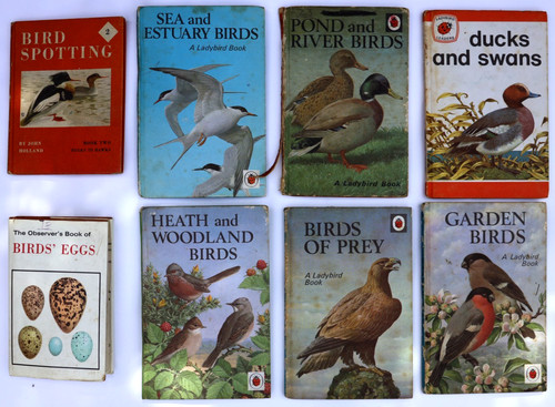 Vintage bird books bundle - vintage,