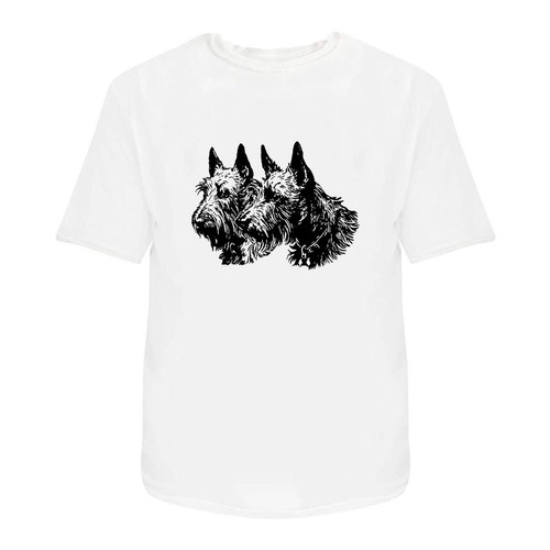 Scottish terrier couple - 'scottish, couple'