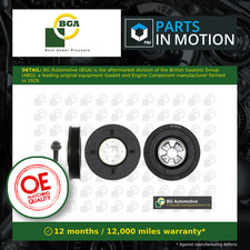 Crankshaft Pulley (TVD) fits