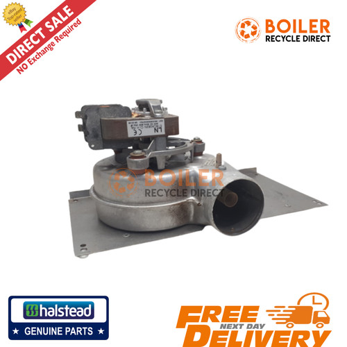Halstead ace finest wickes - -,