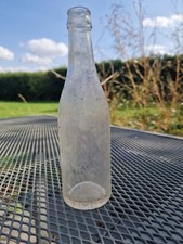 Antique glass bottle warwicks - antique,