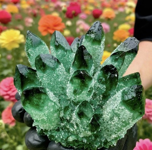 New find green - find,
