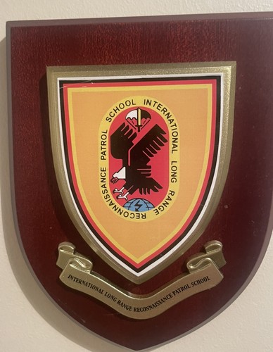 Lrrps military plaque - lrrps,