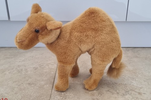 Lovely dromedary camel - , soft