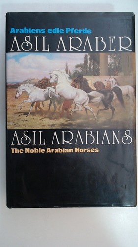 Asil araber abrabiens edle - asil, araber.