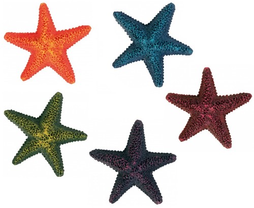 Star fish tank - fish, ornament