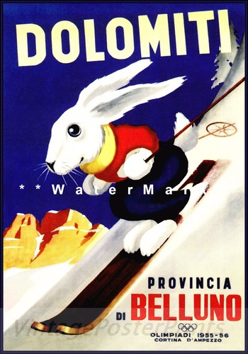 Dolomiti 1956 italy skiing - dolomiti,