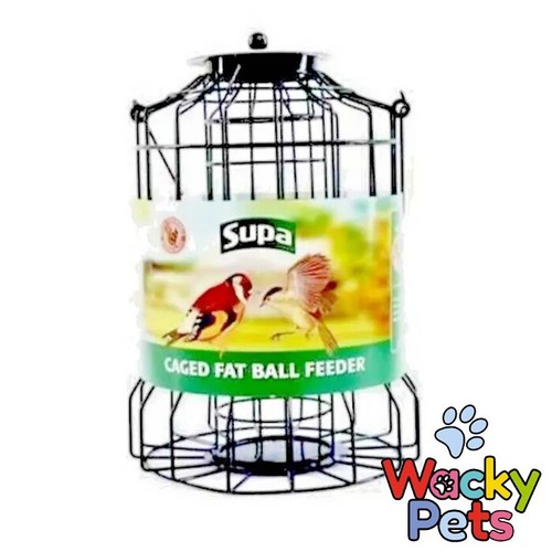 Squirrel proof wild - squirrel,