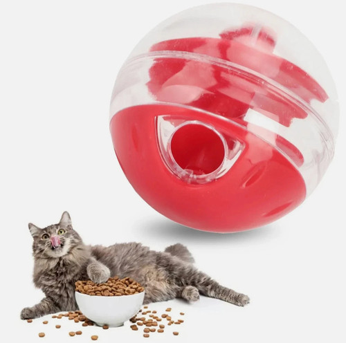 Cat toys treat - cat,