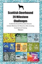 Scottish Deerhound 20