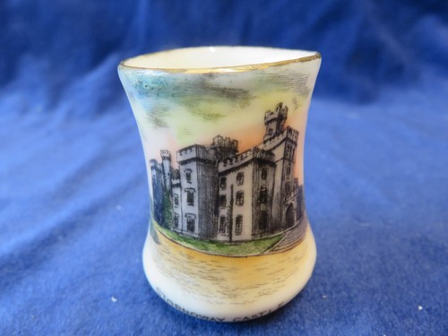 Nautilus crested china - crested, small