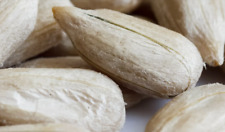 20KG Sunflower Hearts GM FREE