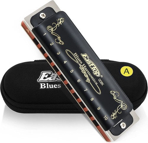 Easttop 10hole diatonic - 10hole,