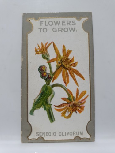 Lea cigarette card - cigarette,