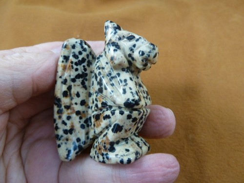 Gar 703 little spotted - y-gar-703),