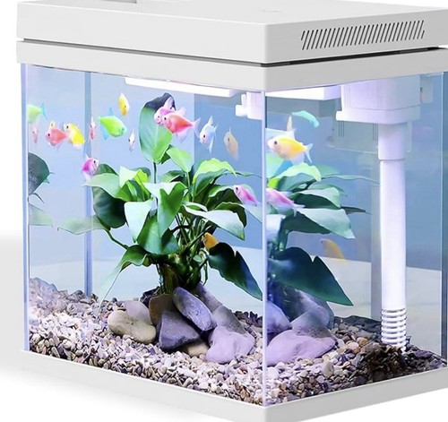 Glass fish tank nano - fish,