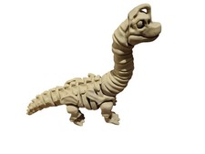 Brontosaurus Dinosaur Fossil