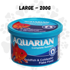 Aquarian goldfish coldwater - goldfish,