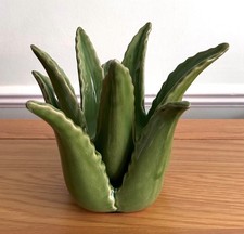 Green ceramic cactus succulent - ceramic,
