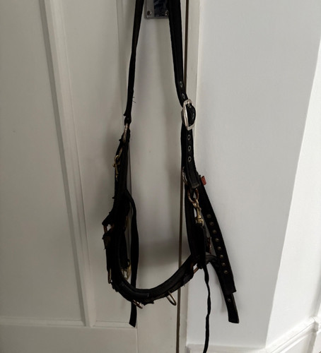 Equiami lunge cavesson size