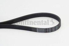 V-Ribbed Belt CONTITECH Fits
