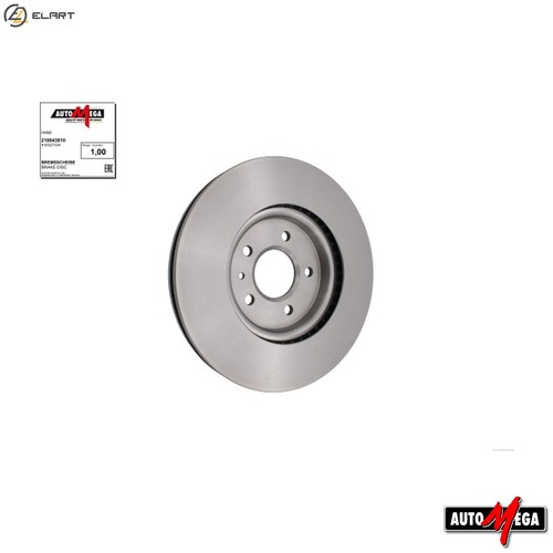 Brake disc 210043810 for - disc,