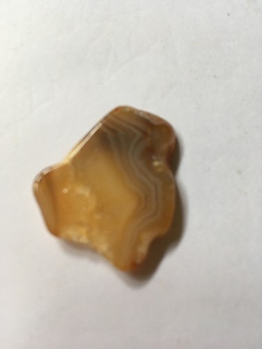 Agate carnelian slice cabochon - carnelian,